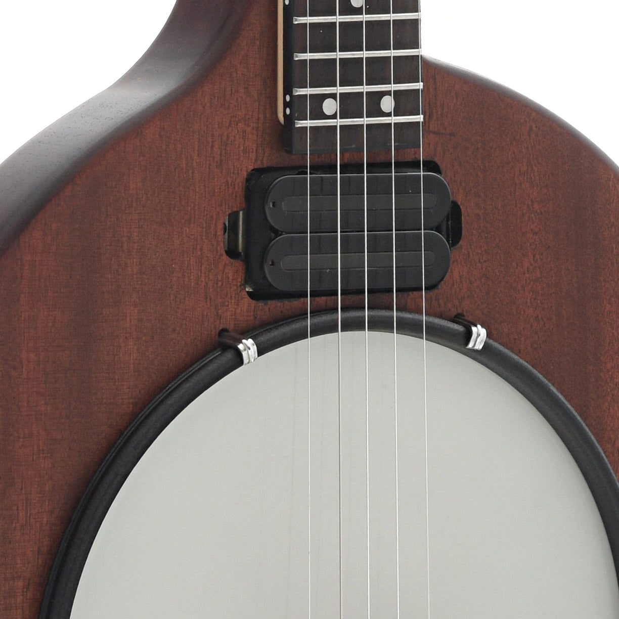 Image 4 of Gold Tone EB-5 5-String Electric Banjo & Gigbag - SKU# GTEB5 : Product Type Other Banjos : Elderly Instruments