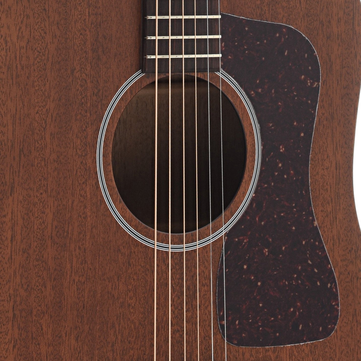 Image 5 of Guild USA D-20 Acoustic Guitar and Case - SKU# GUID20 : Product Type Flat-top Guitars : Elderly Instruments