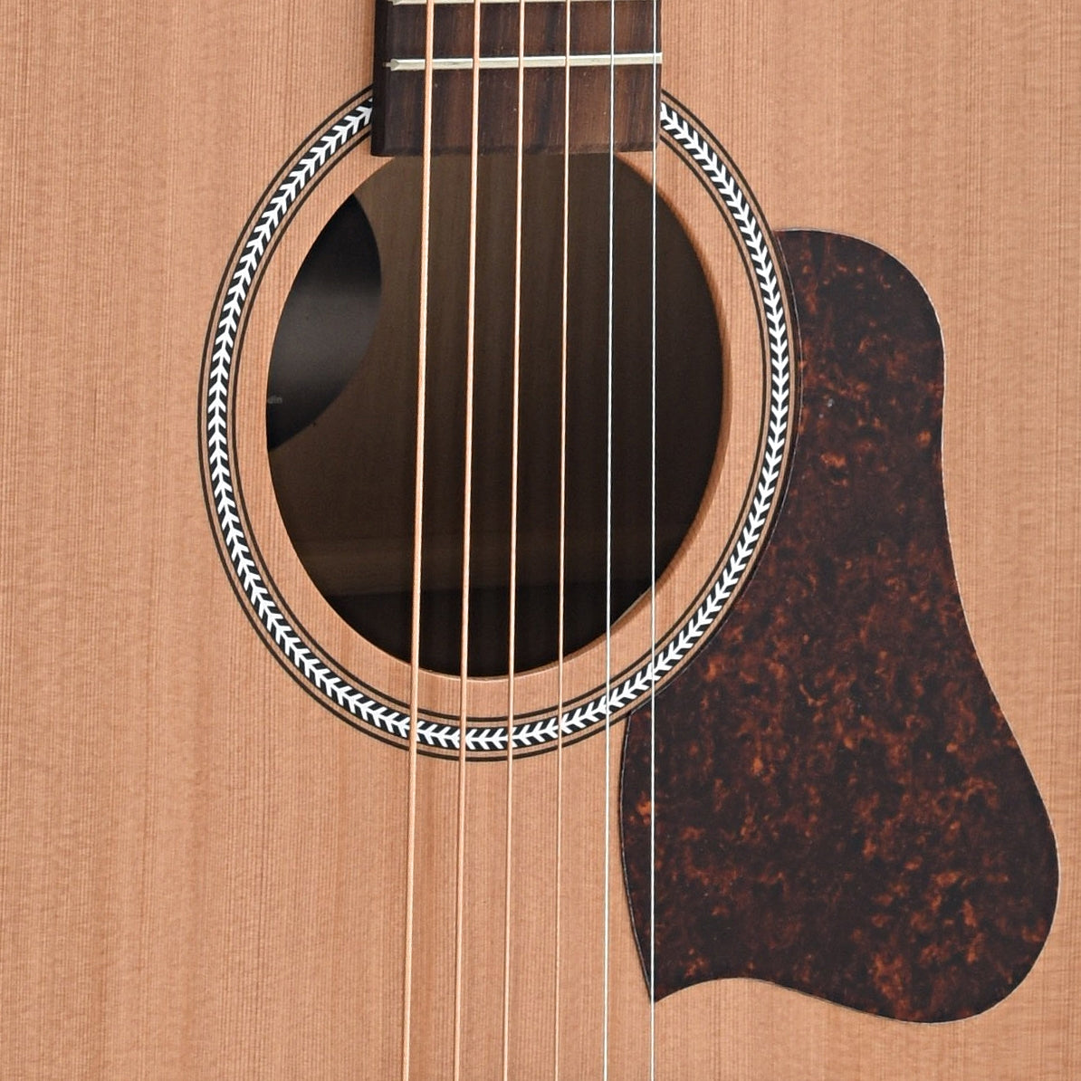Image 4 of Seagull S6 Cedar Original - SKU# S6CO18 : Product Type Flat-top Guitars : Elderly Instrumentssound hole of Seagull S6 Cedar Original