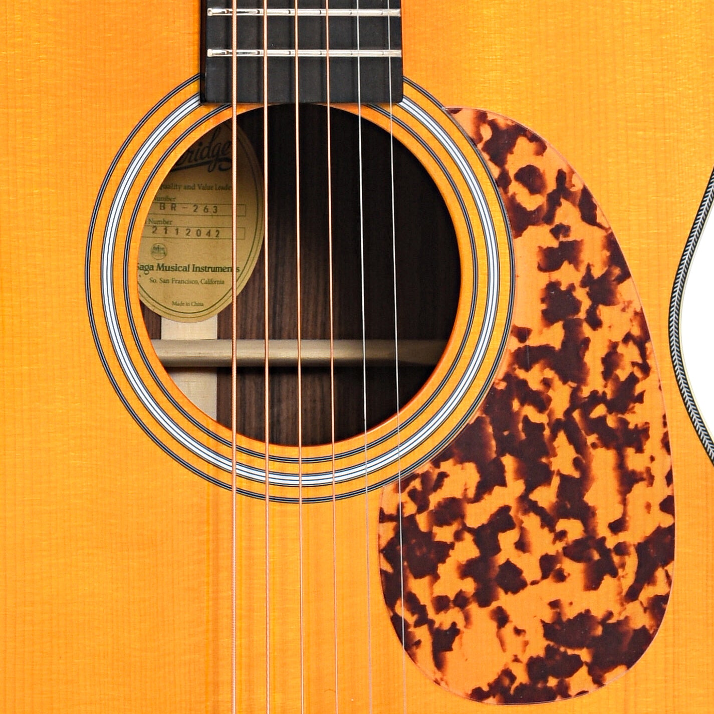 Soundhole and pickguard of Blueridge Prewar Series BR-263 000 Acoustic Guitar