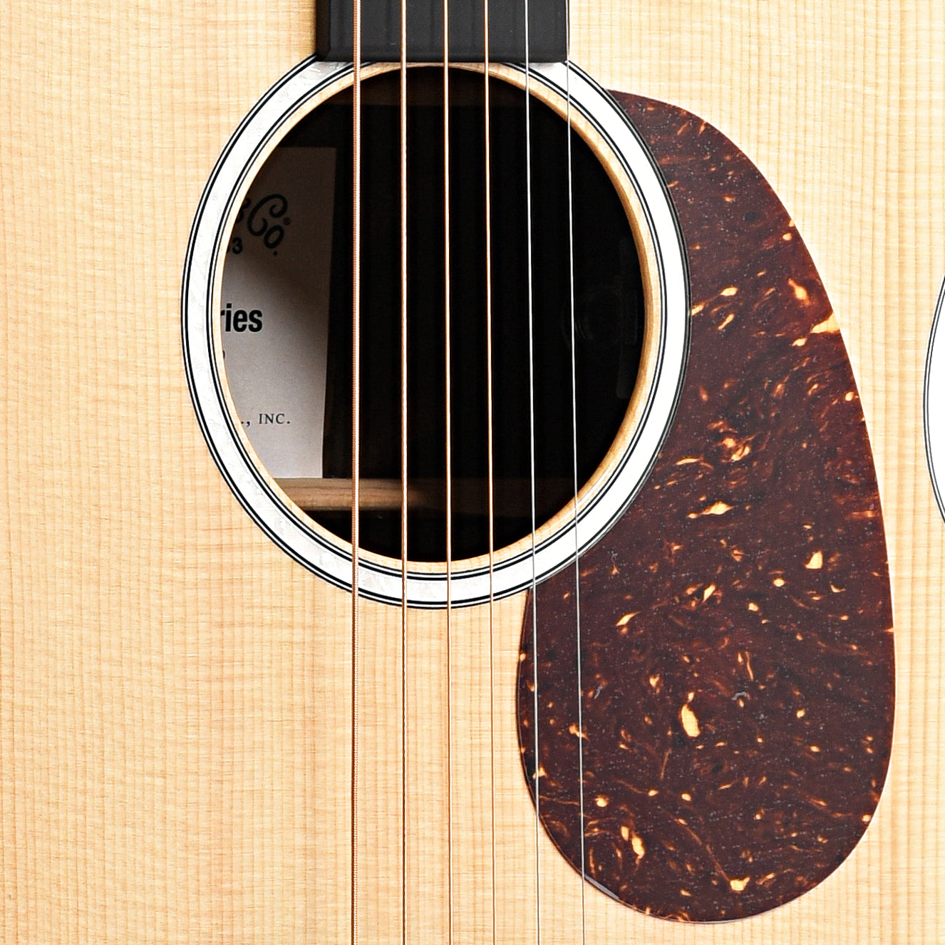 Soundhole and Pickguard of Martin GPC-13E Ziricote Cutaway Guitar 