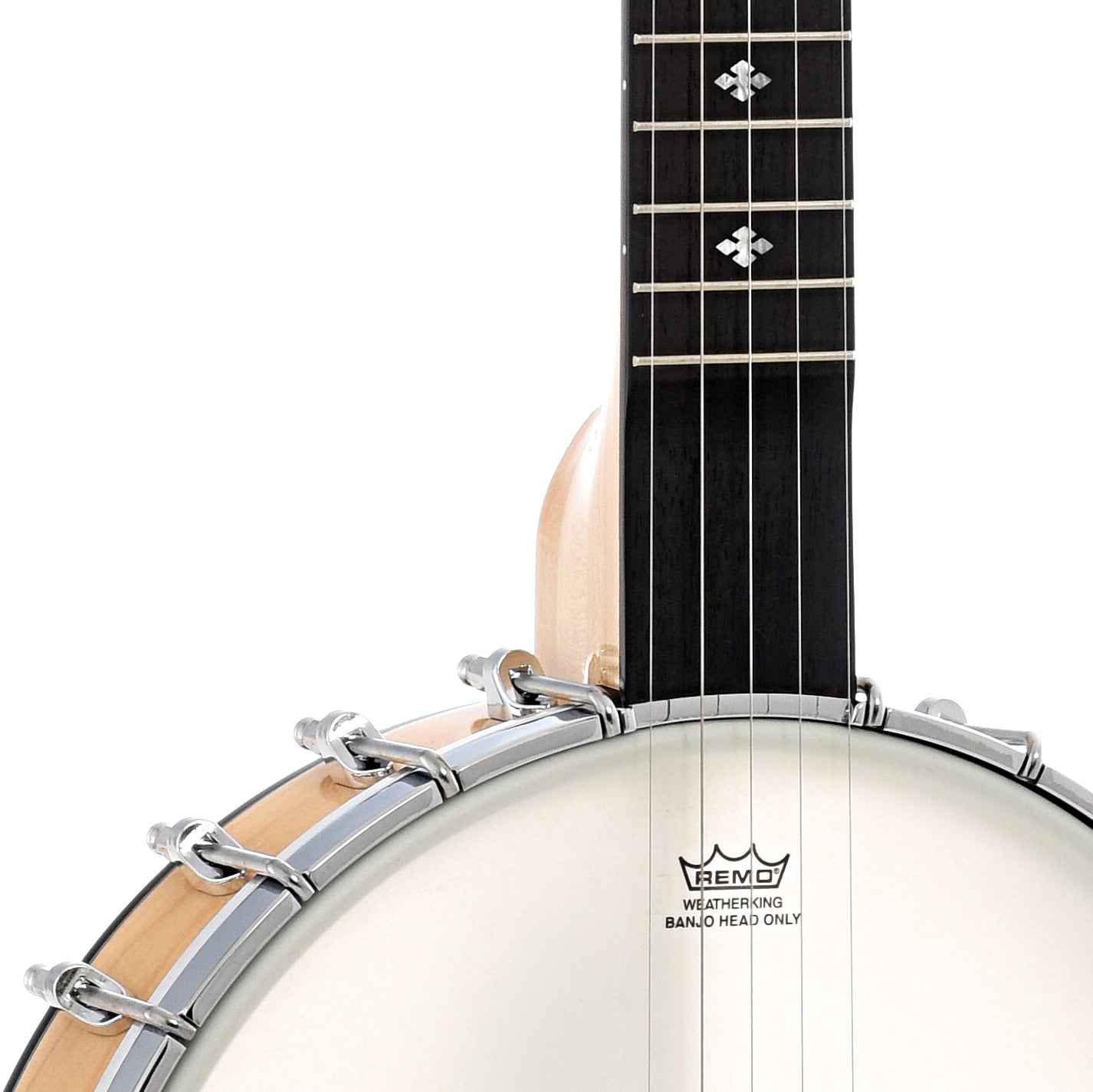 Front and Neck  joint of Gold Tone Maple Mountain MM-150LN Longneck Banjo