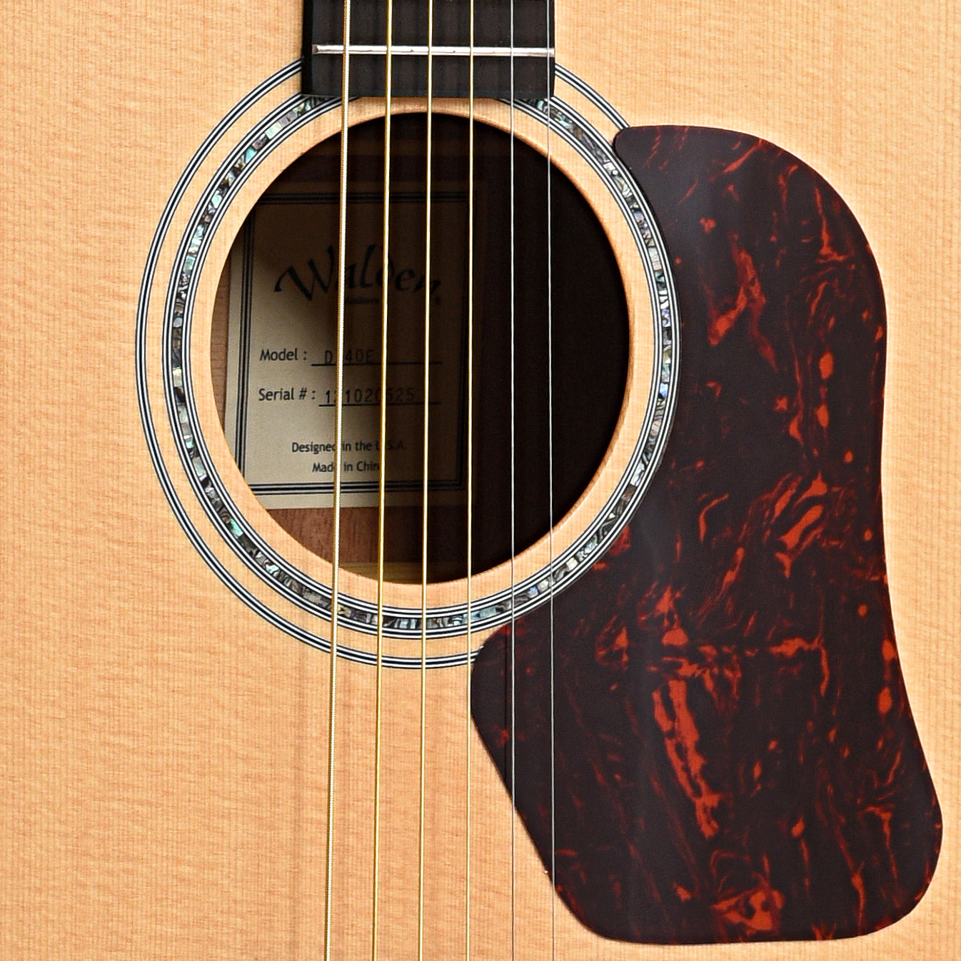 Image 6 of Walden Natura D740E Acoustic-Electric Guitar & Gigbag - SKU# D740E : Product Type Flat-top Guitars : Elderly Instruments