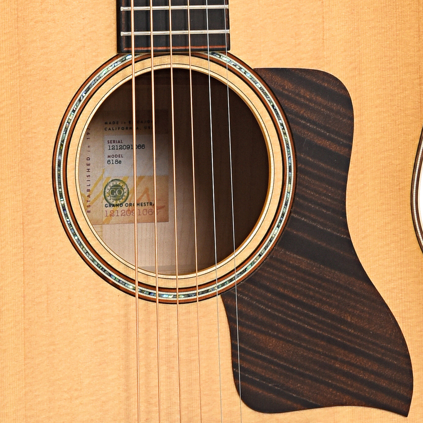 Sound hole of Taylor 618e Acoustic-Electric 