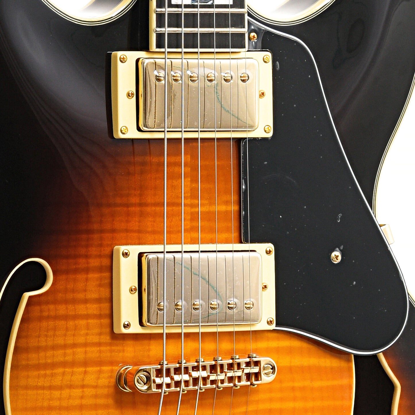 Pickups of Ibanez JSM10 Semi-Hollowbody Guitar