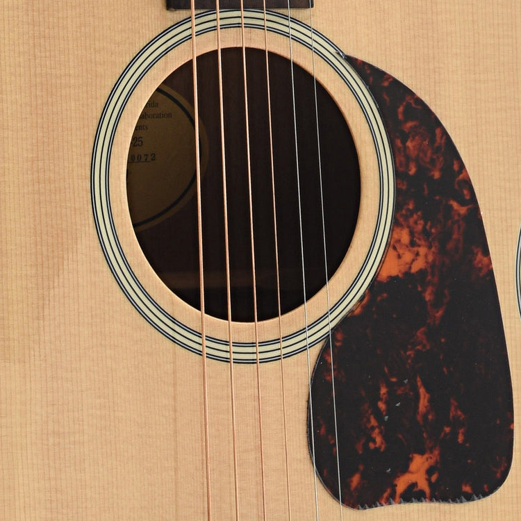 Image 5 of Farida Old Town Series Original Spec OT-25 Wide NA Acoustic Guitar - SKU# OT25NW-ORG : Product Type Flat-top Guitars : Elderly Instruments
