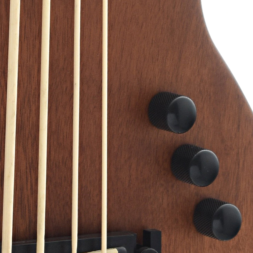 controls of Gold Tone ME-Bass Solid Body Micro Bass 