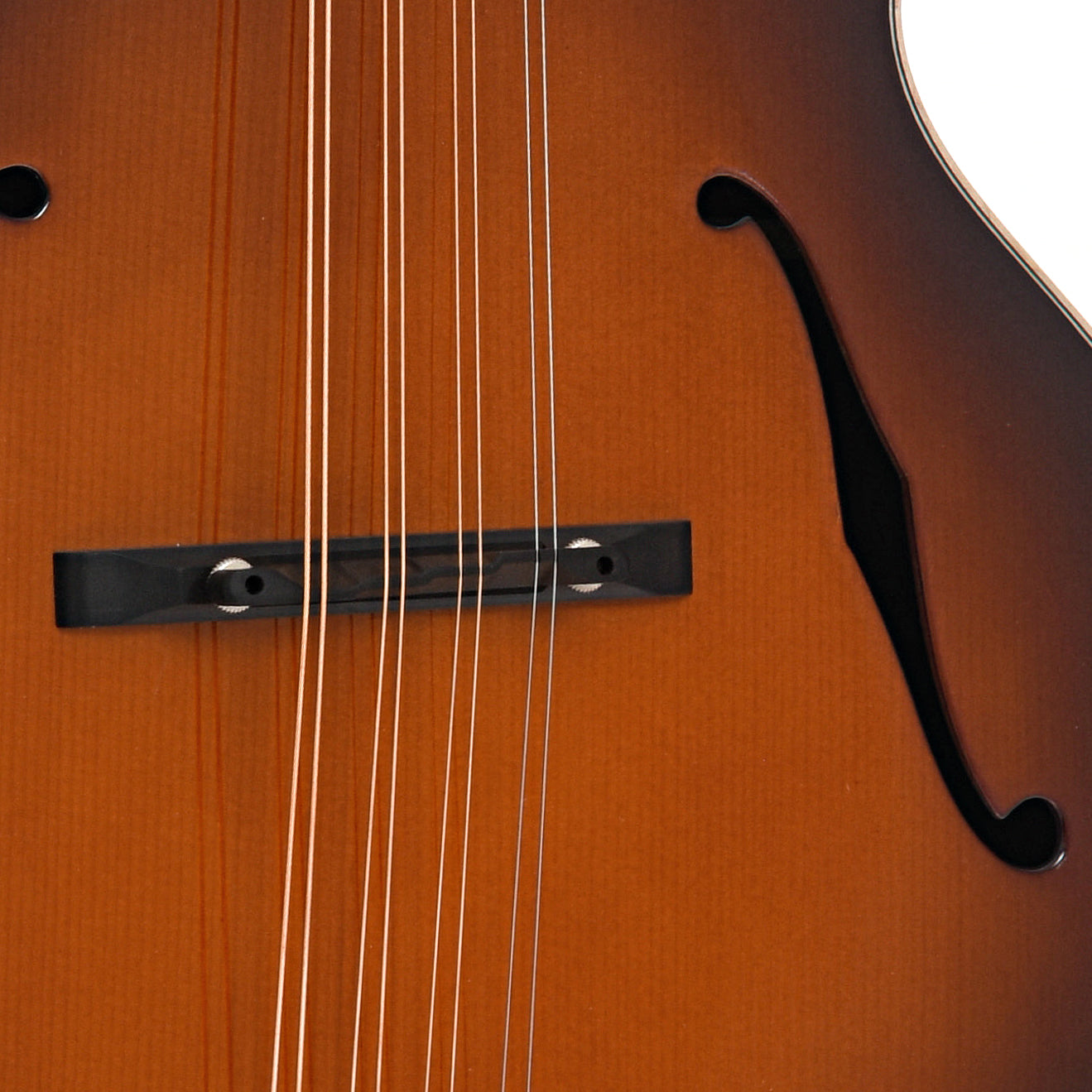 Bridge of KR Strings Octolindo F Deluxe Octave Mandolin