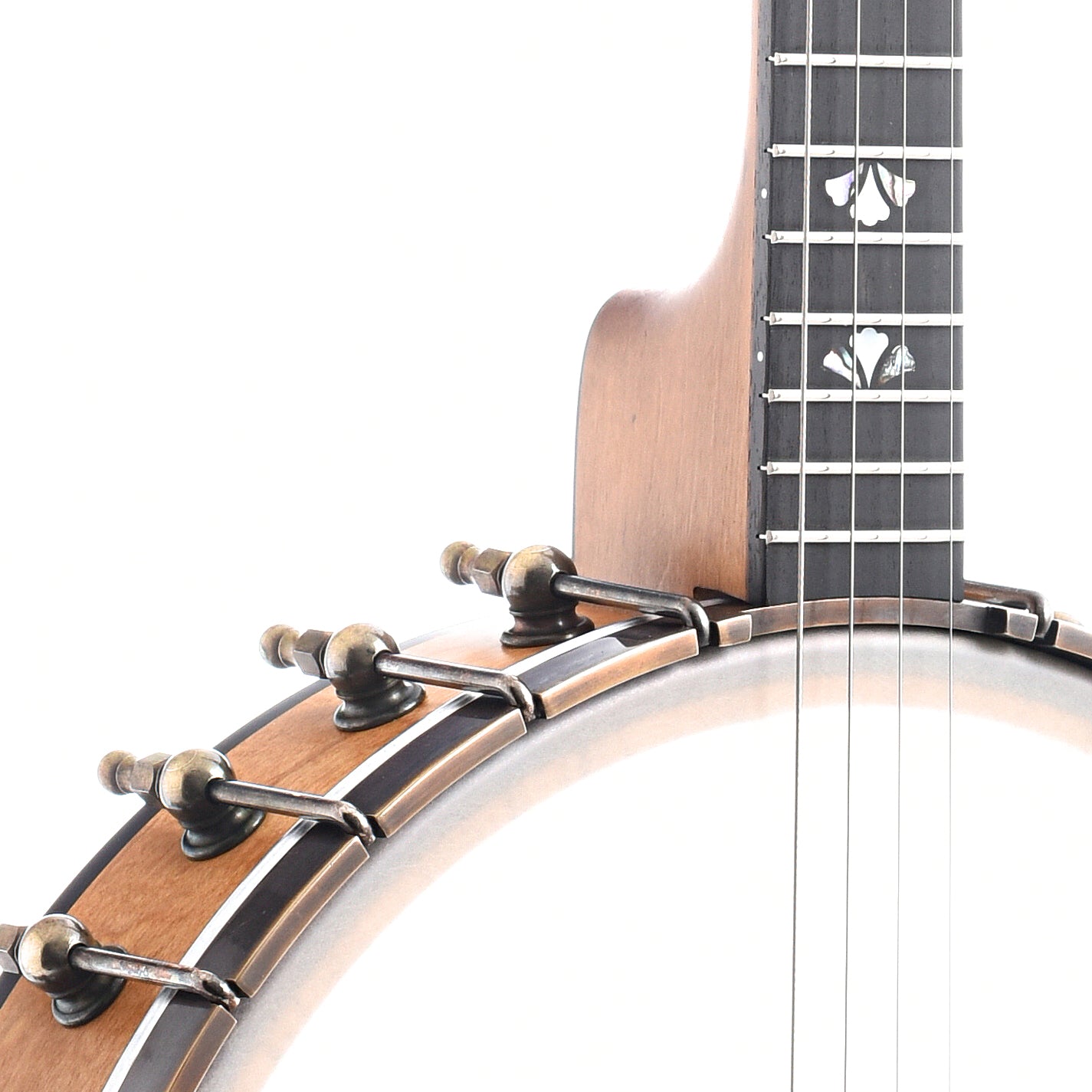 Image 4 of Ome Celtic 12" Tenor Banjo & Gigbag, Curly Maple - SKU# CELTEN19-CMPL12 : Product Type Tenor & Plectrum Banjos : Elderly Instruments