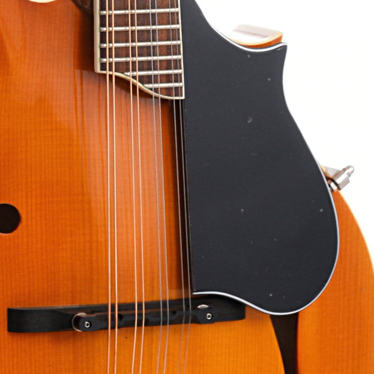 Image 5 of Kentucky KM-752 F-Model Mandolin & Gigbag, Transparent Amber - SKU# KM752 : Product Type Mandolins : Elderly Instruments