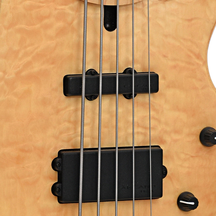 Pickups of Lakland Skyline 5-String Bass