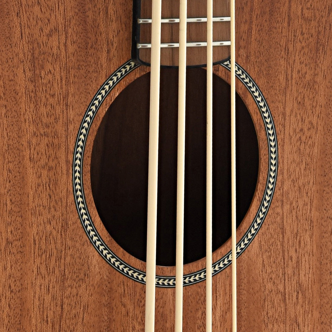 Soundhole of Gold Tone M-BASS25