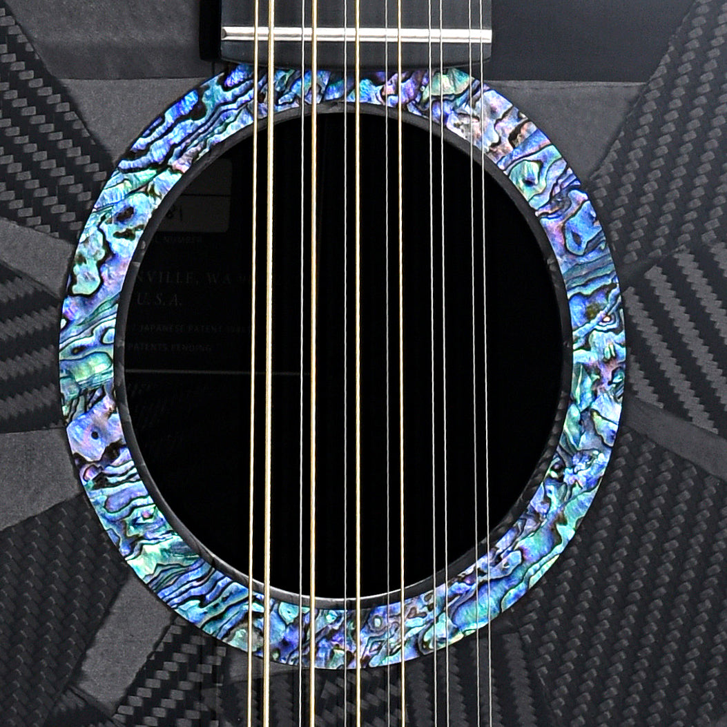 sound hole of Rainsong Black Ice WS3000 12-string