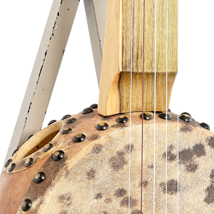 Image 5 of Menzies Fretless Gourd Banjo #476- SKU# MGB85-476 : Product Type Other Banjos : Elderly Instruments