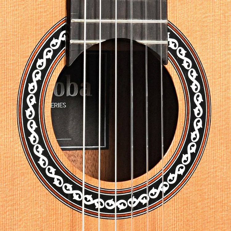 Image 5 of Cordoba C9 Classical Guitar and Case - SKU# CORC9C : Product Type Classical & Flamenco Guitars : Elderly Instruments