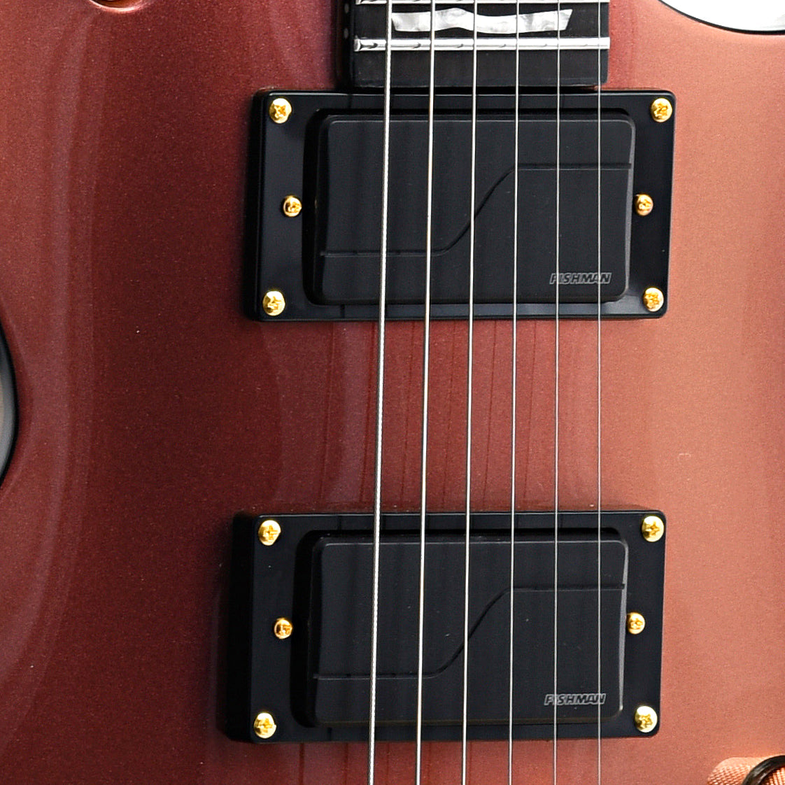 Pickups of ESP LTD EC-1000 Electric Guitar