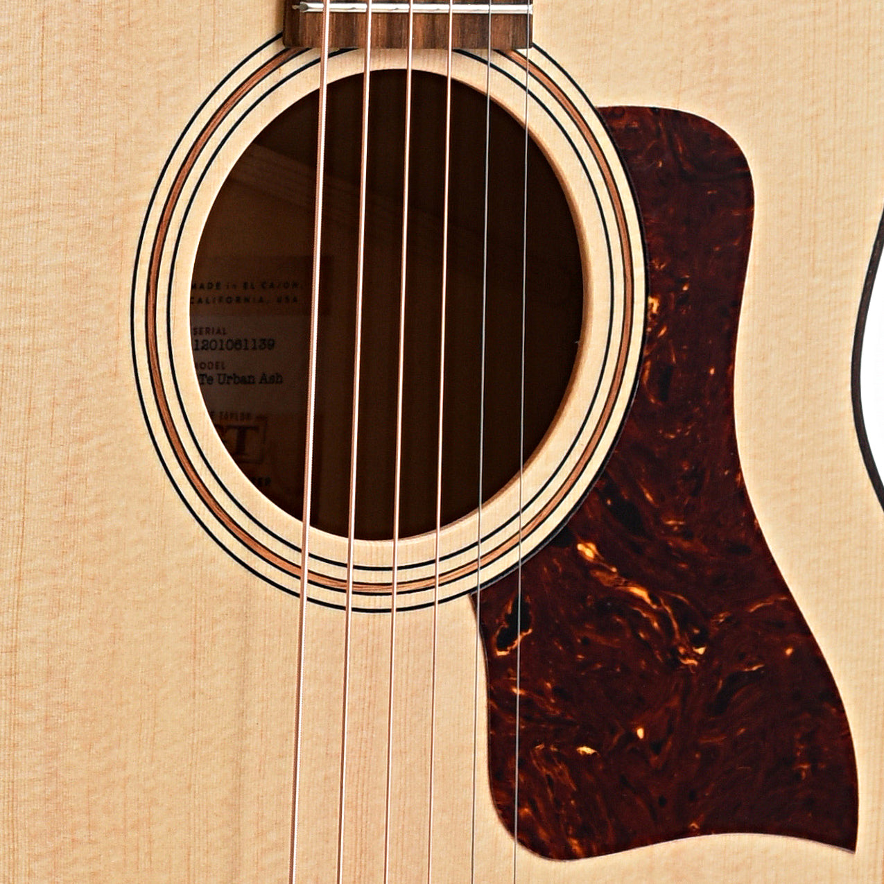 Image 5 of Taylor GTe Urban Ash Acoustic/Electric Guitar & Gigbag - SKU# GTEUA : Product Type Flat-top Guitars : Elderly Instruments