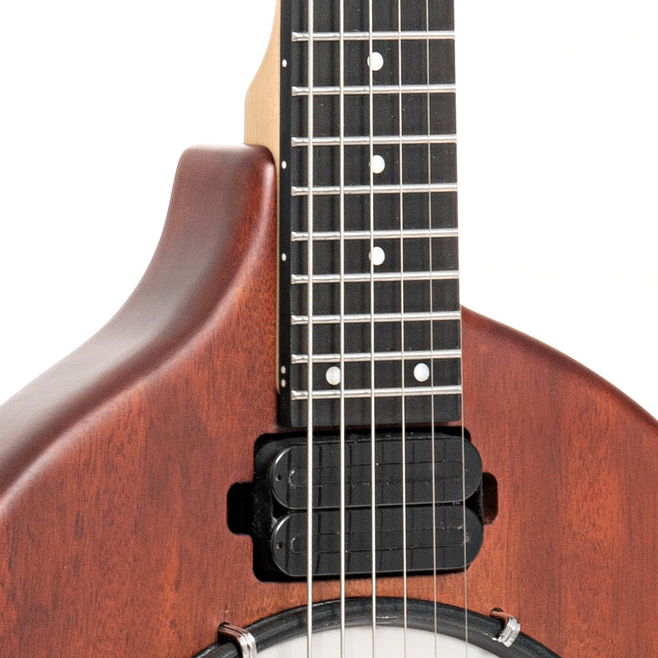 Image 5 of Gold Tone EB-6 6-String Electric Banjo & Gigbag - SKU# GTEB6 : Product Type 6-string Banjos : Elderly Instruments