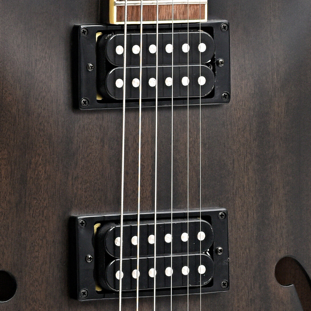 pickups of Ibanez Artcore AS53 Semi-Hollowbody
