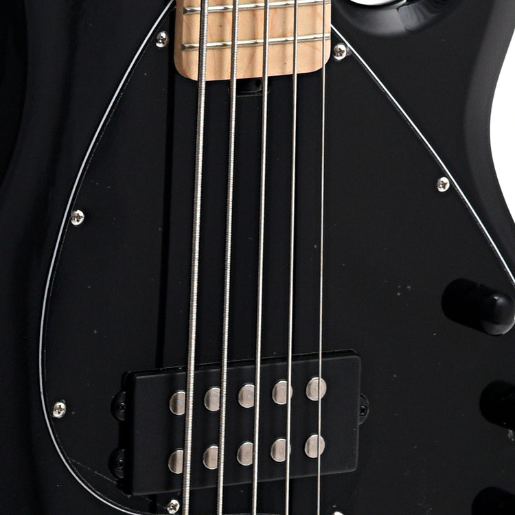 Image 4 of Sterling by Music Man StingRay5 5 String Bass, Black Finish - SKU# RAY5-BK : Product Type Solid Body Bass Guitars : Elderly Instruments