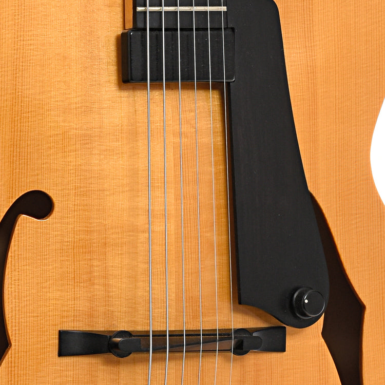Pickup and pickguard of Martin CF-1 Archtop