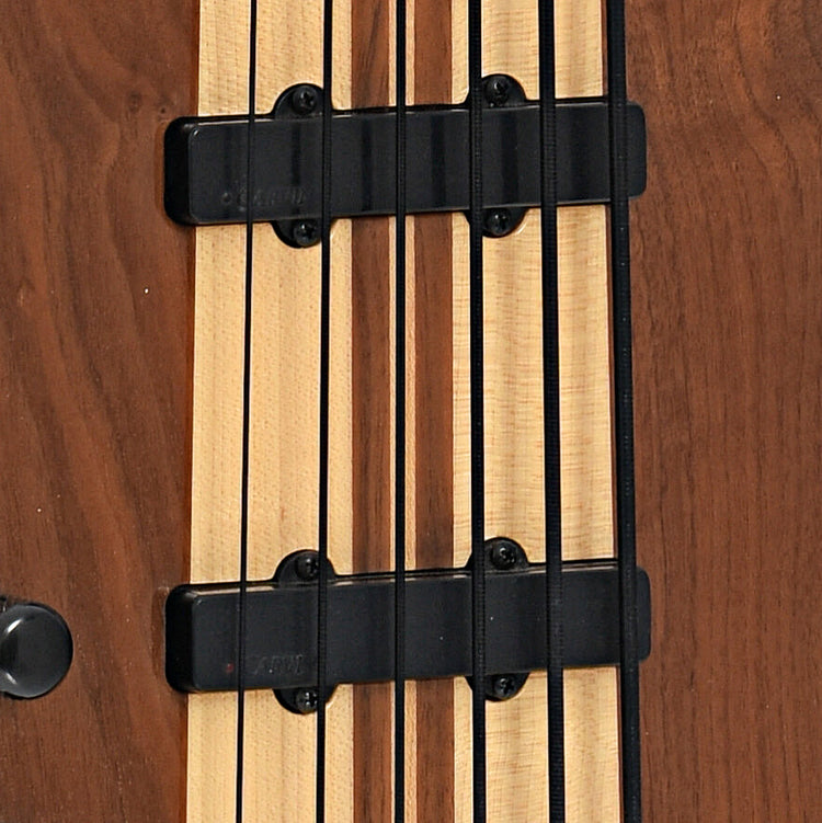 Pickups of Carvin LB-76 6-String Bass