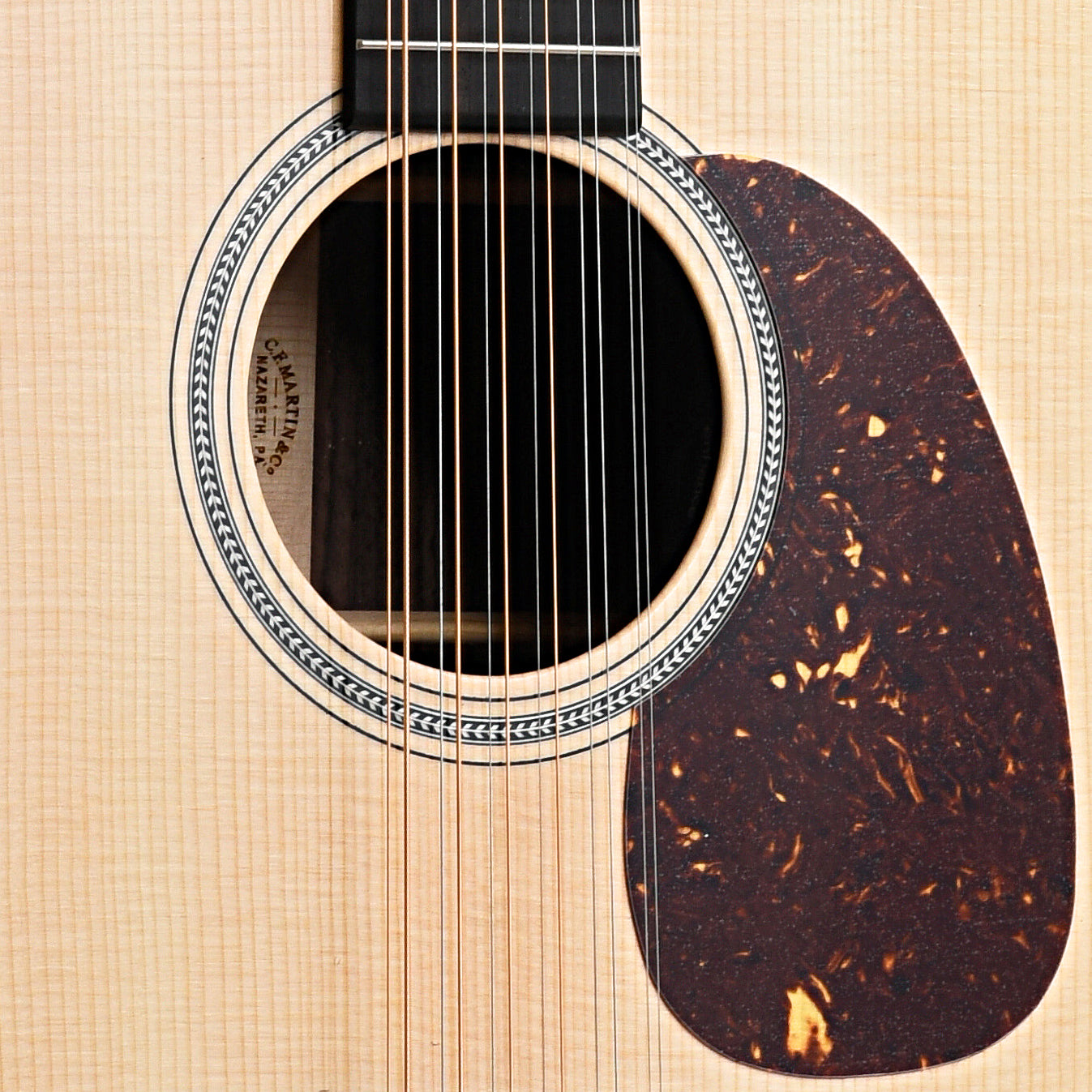 Soundhole and Pickguard of Martin Grand J-16E Thin-Body 12-String Guitar 