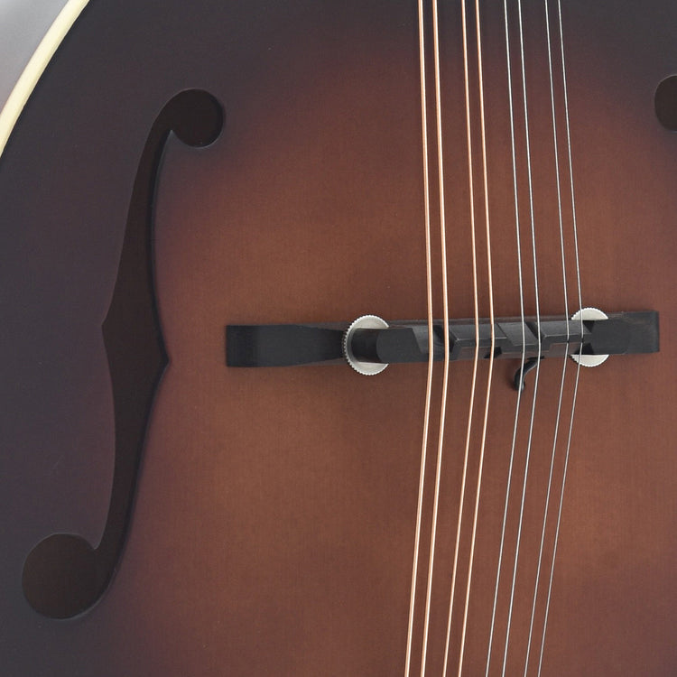 Image 5 of The Loar "Honey Creek" F-Style Mandolin with Fishman Pickup - SKU# LM310FE : Product Type Mandolins : Elderly Instruments