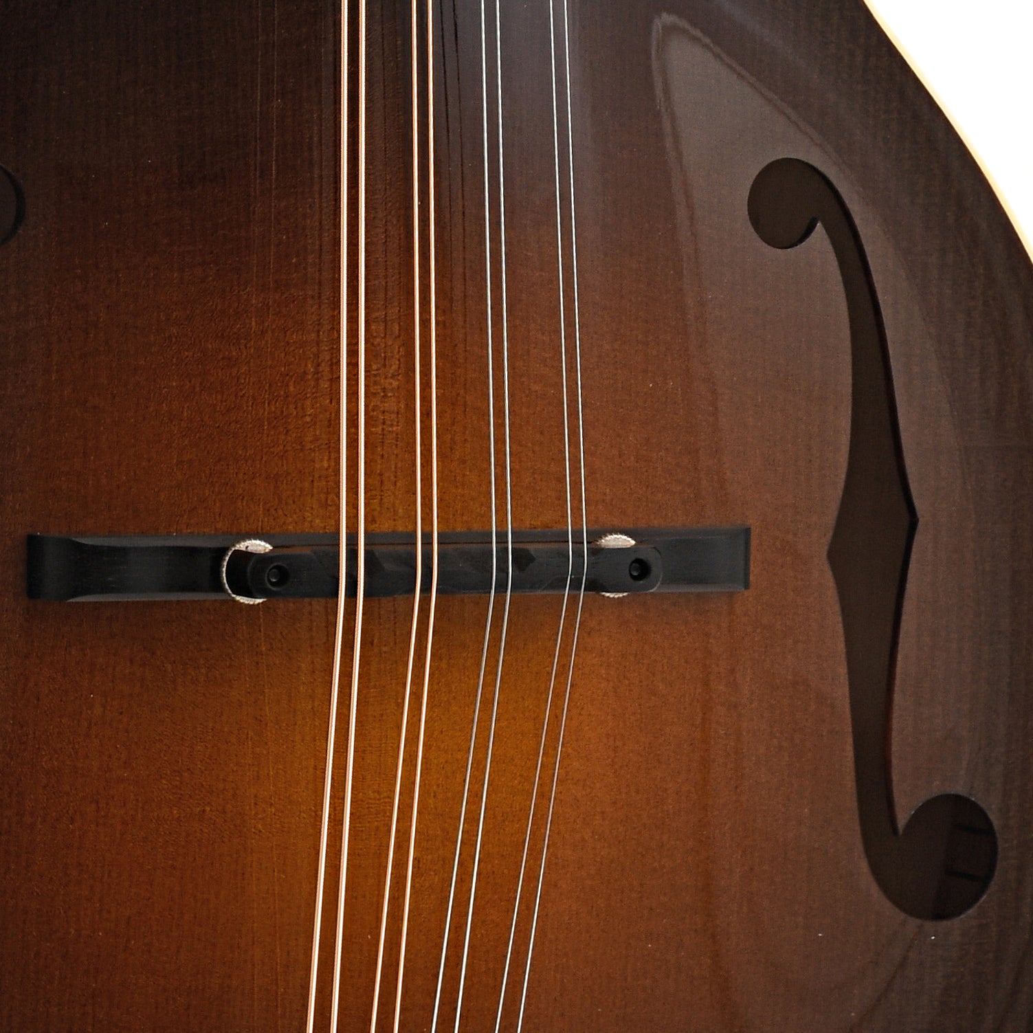 Image 5 of Collings MF F-Model Mandolin & Case with Ivoroid Binding, Glossy Top - SKU# MF-IG : Product Type Mandolins : Elderly Instruments