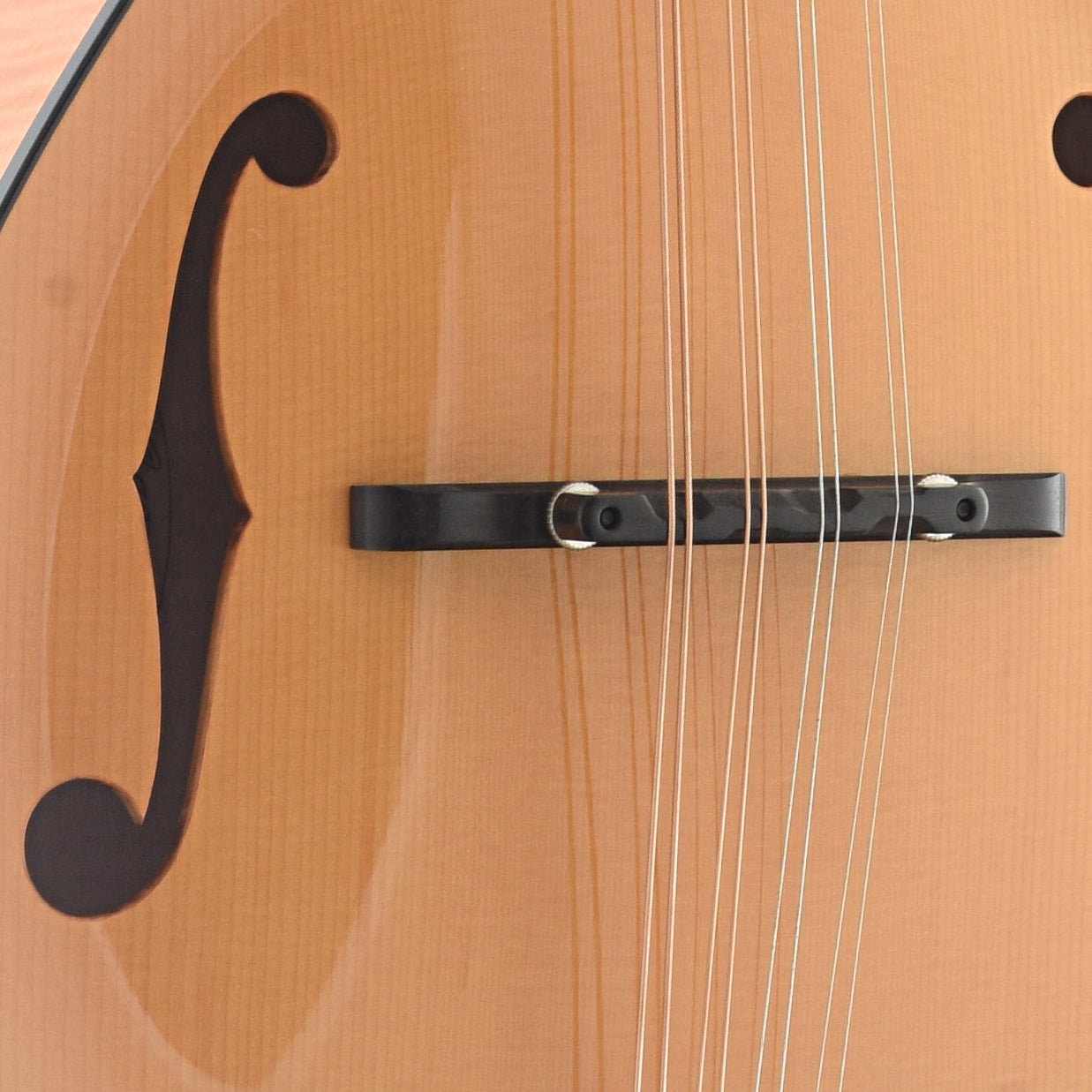 Image 5 of Collings MF F-Model & Case, Honey Amber Finish, Glossy Top - SKU# MF-TAG : Product Type Mandolins : Elderly Instruments