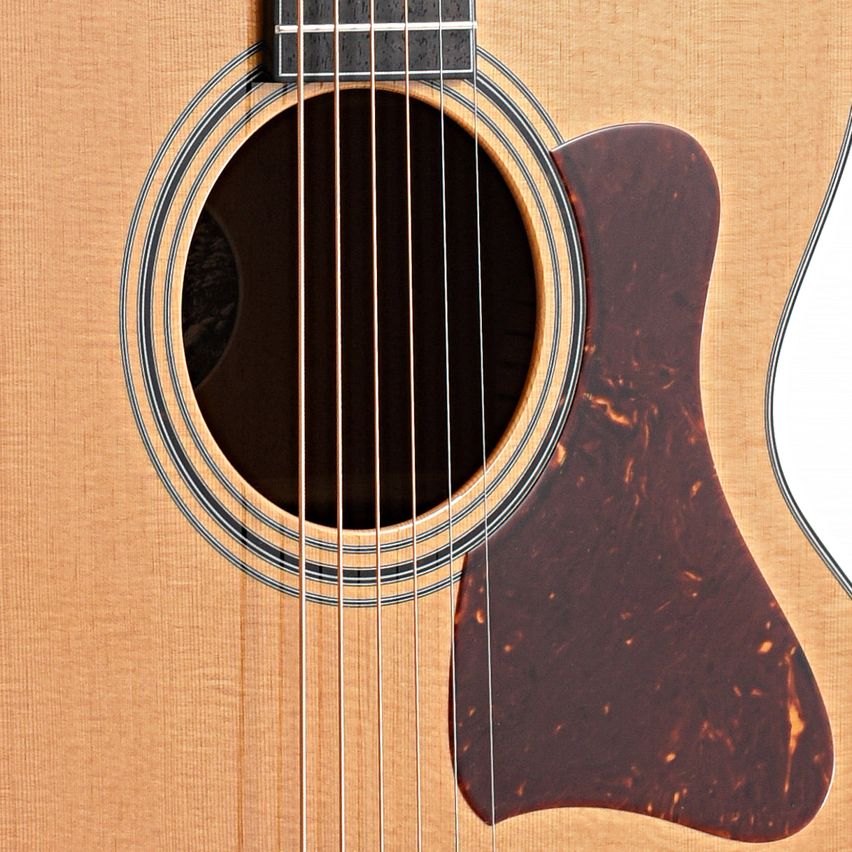 Image 5 of Collings SJ Mahogany Short Scale Guitar & Case - SKU# COLFMAH-SSTT : Product Type Flat-top Guitars : Elderly Instruments