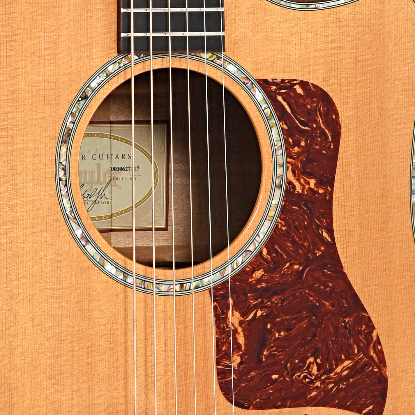 Image 5 of Taylor 600-SPEC (2003)- SKU# 20U-210763 : Product Type Flat-top Guitars : Elderly Instruments
