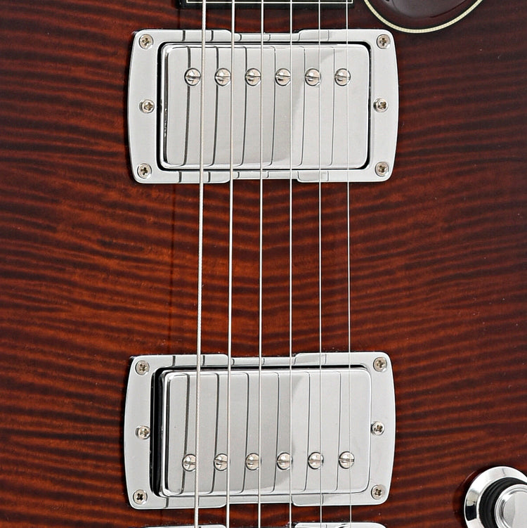Pickups of Taylor SB-2 Electric Guitar (2012)