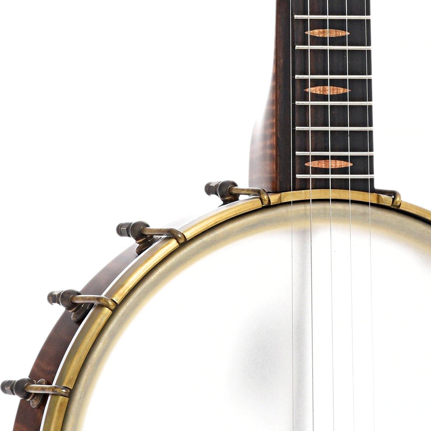 Front body and neck join of Curly Maple Pattison 11" Tubaphone Banjo