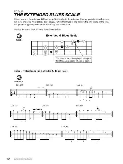 Image 6 of Guitar Soloing Basics - Techniques, Scales, Theory And Lots Of Licks - SKU# 49-201956 : Product Type Media : Elderly Instruments