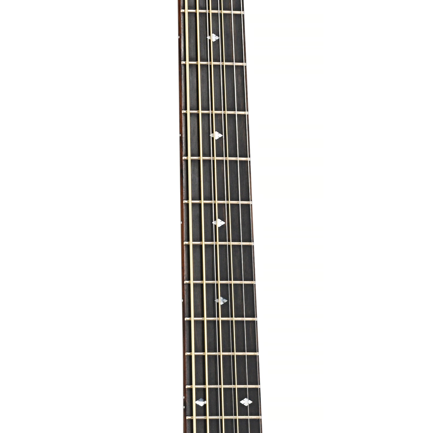 Fretboard of Taylor GT8 Baritone Acoustic 