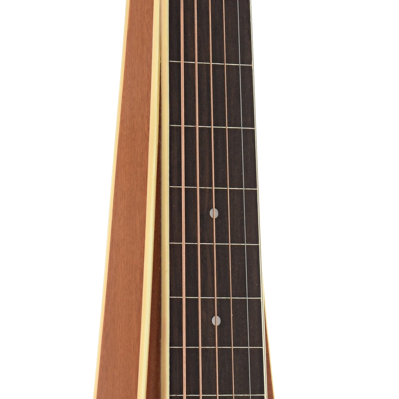 Fretboard of Gold Tone GT Weissenborn Guitar 