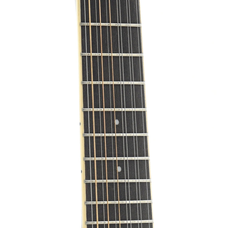 Fretboard of Gold Tone F-12 12-String Manditar 