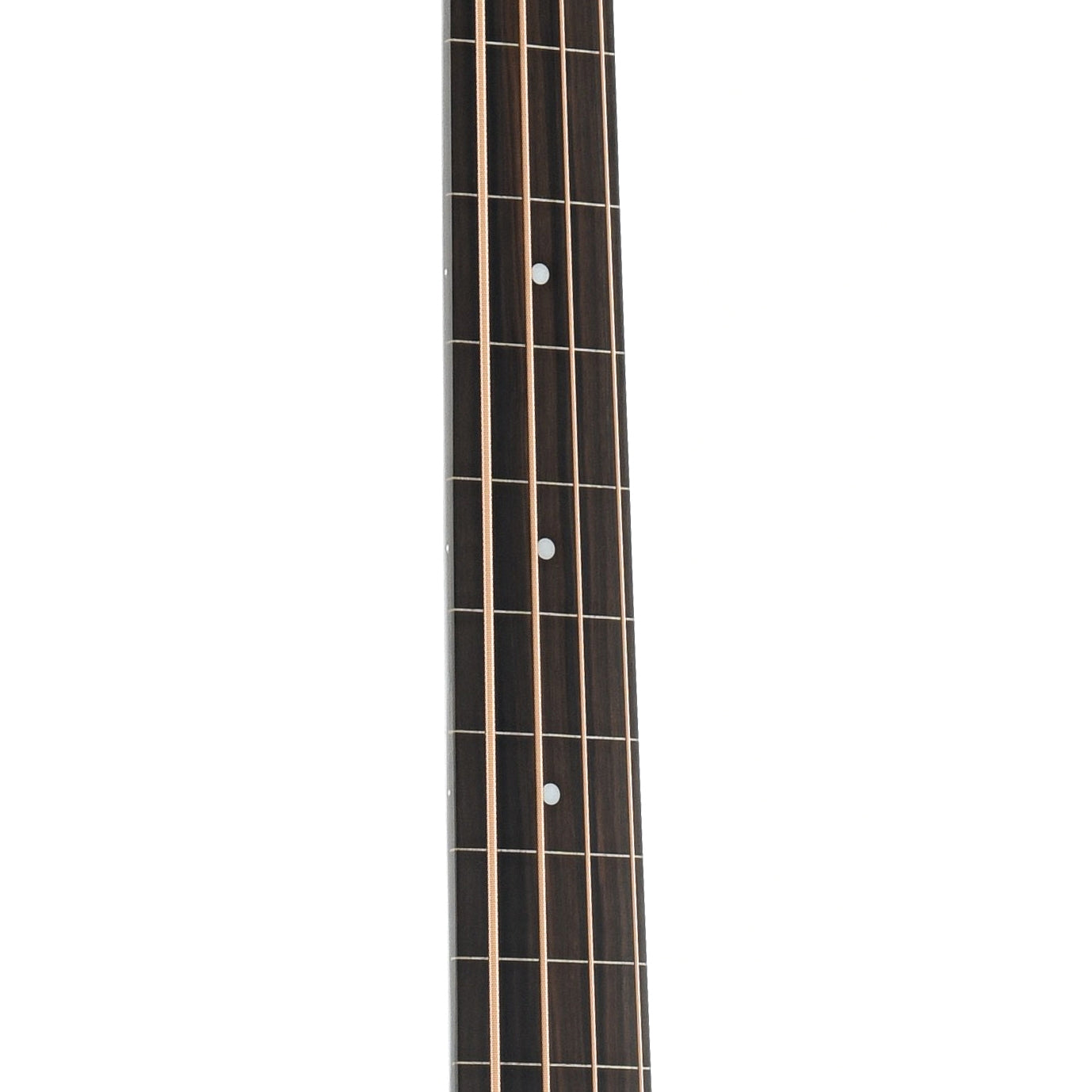 Image 6 of Guild B-240EF Archback Acoustic Fretless Bass Guitar - SKU# GAB240EF : Product Type Acoustic Bass Guitars : Elderly Instruments