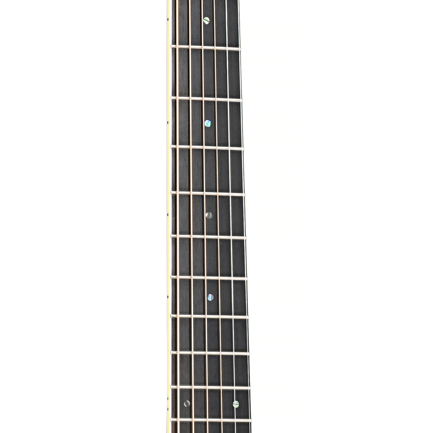Image 6 of Taylor GS-8 (2006)- SKU# 20U-209665 : Product Type Flat-top Guitars : Elderly Instruments