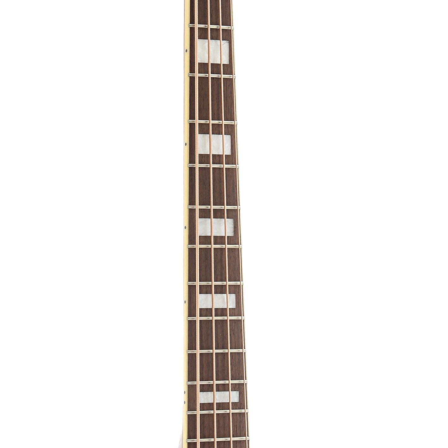 fretboard of Fender Kingman Acoustic Bass