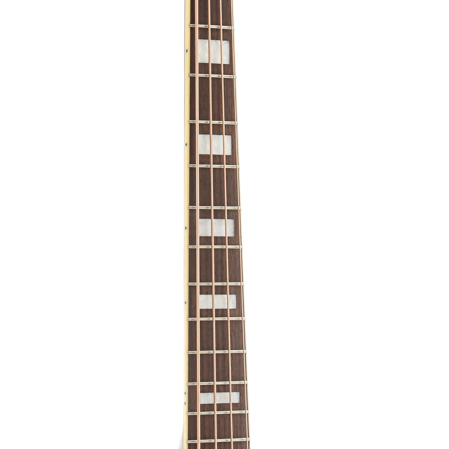 fretboard of Fender Kingman Acoustic Bass