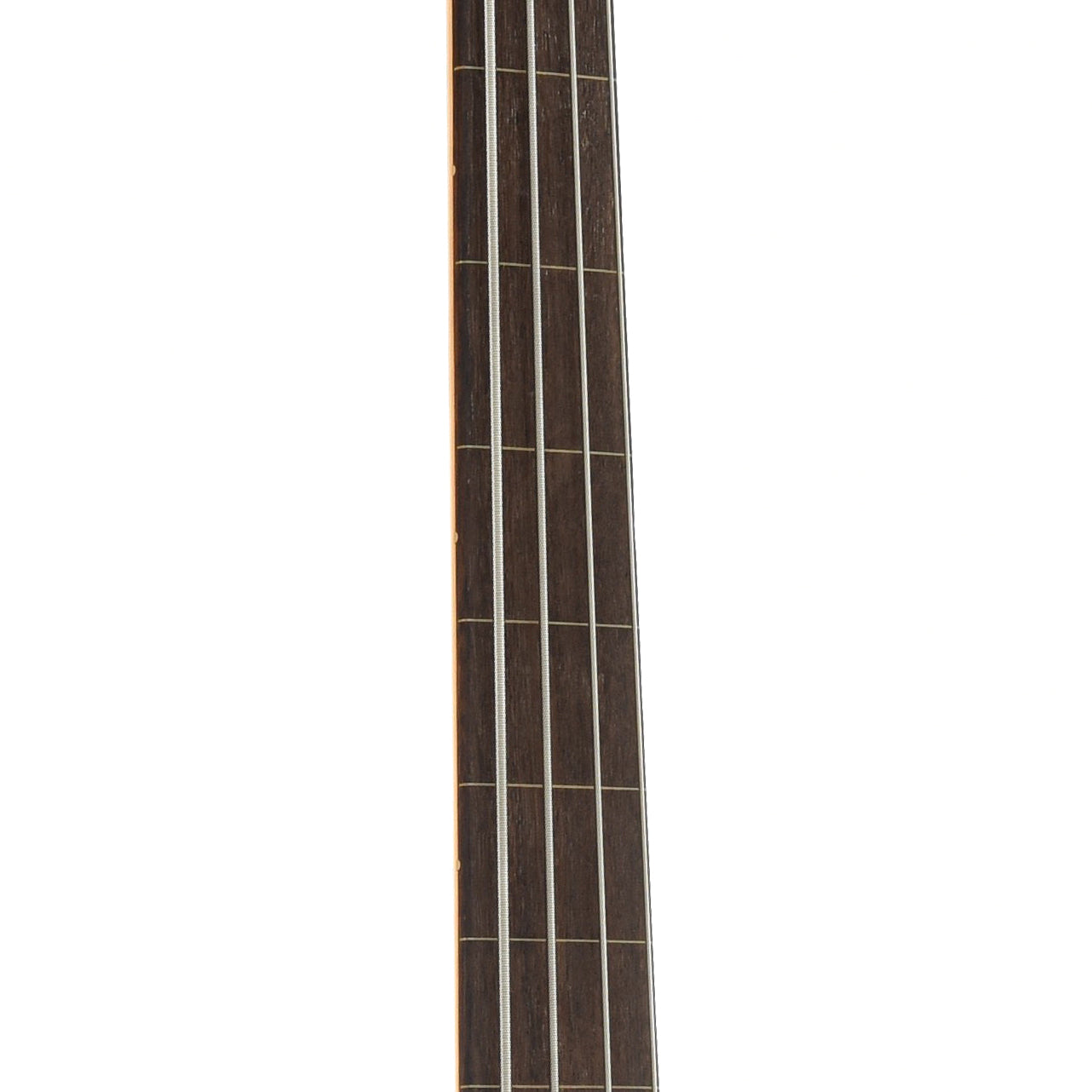 Fretboard of Squier Classic Vibe '60s Jazz Bass, Fretless