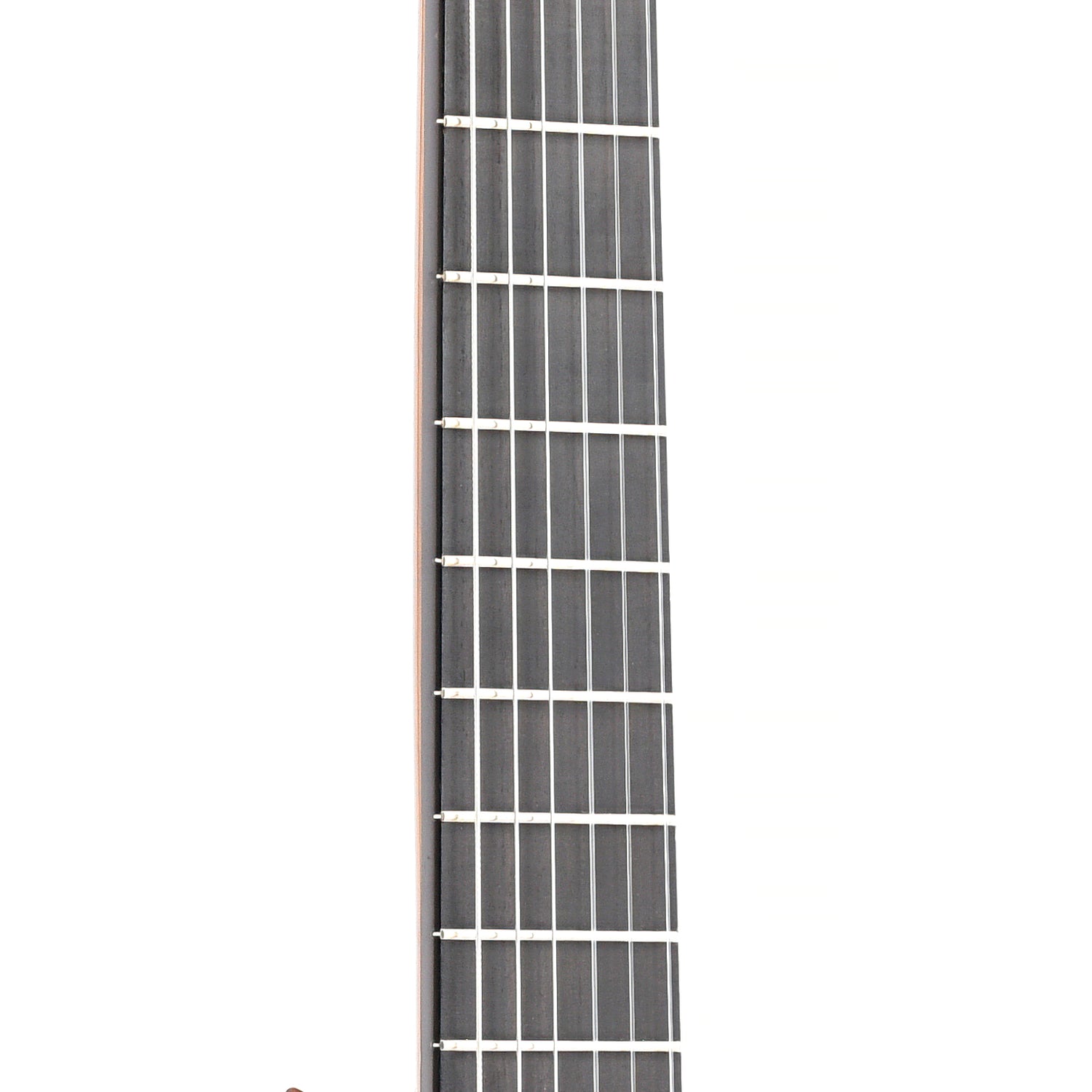 Image 8 of Manuel Contreras 1a (1984) - SKU# 28U-206309 : Product Type Classical & Flamenco Guitars : Elderly Instruments