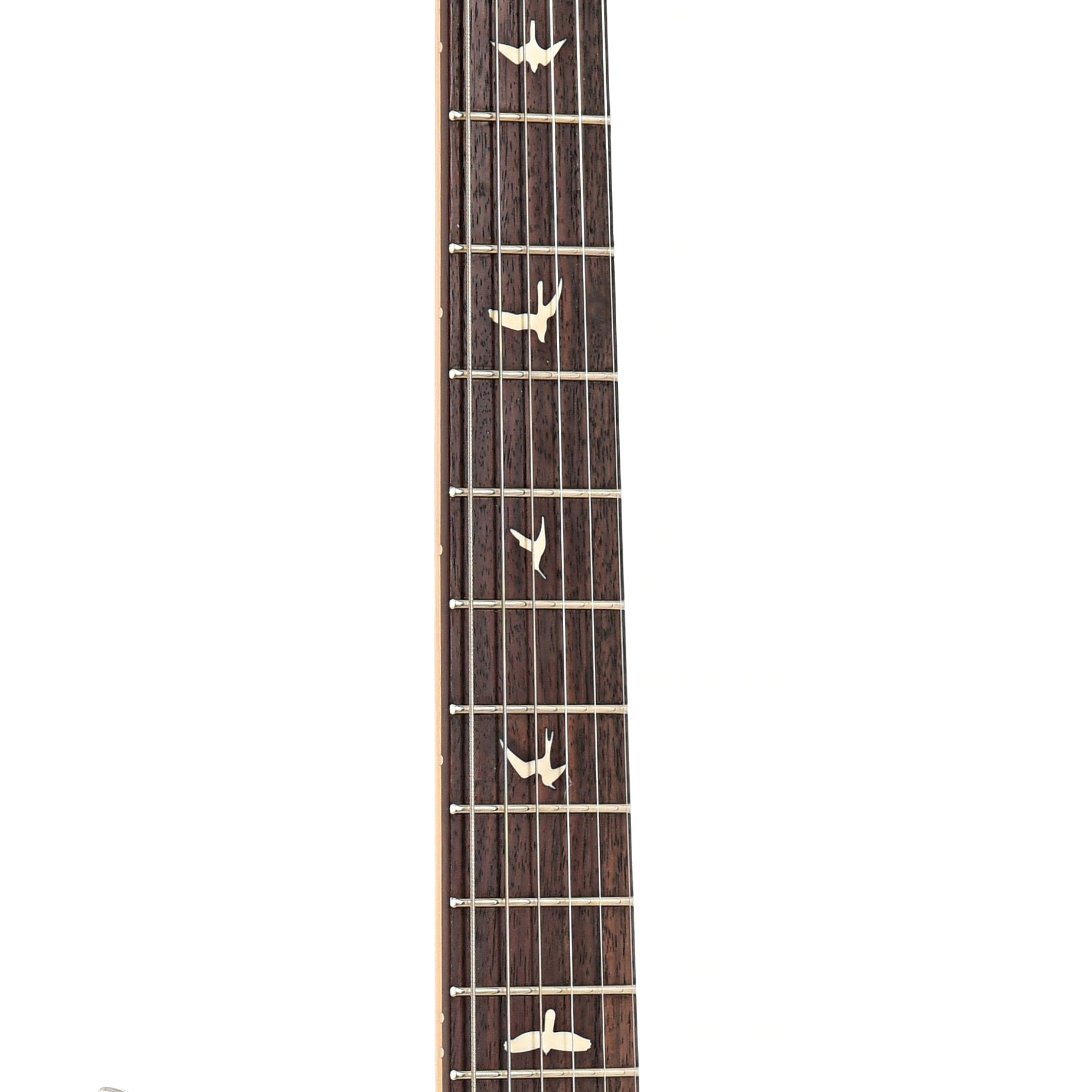 Fretboard of PRS SE Silver Sky Electric Guitar, Moon White
