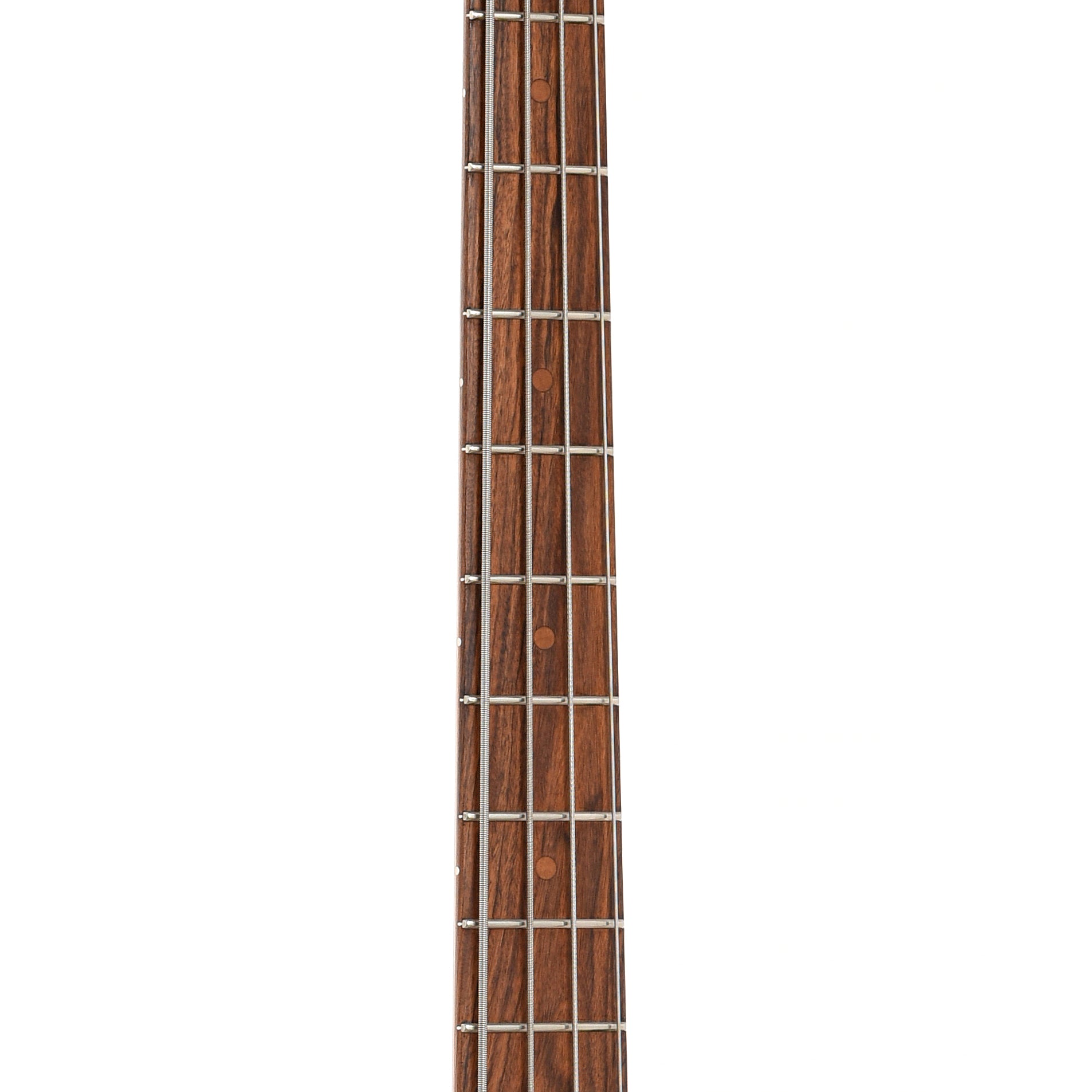 Fretboard of Peavey Millennium Bass