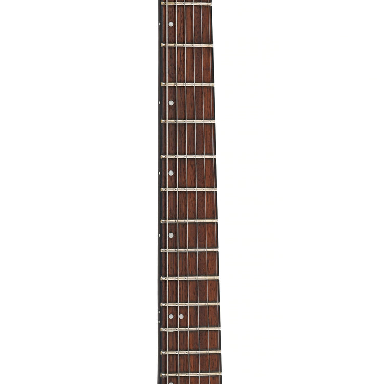 Fretboard of ESP LTD TE-201, Black Satin