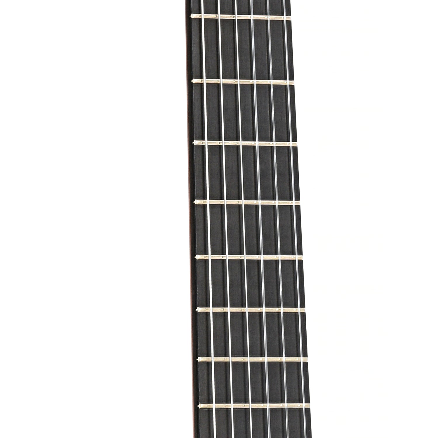 Fretboard of Paul Fischer Classical Guitar