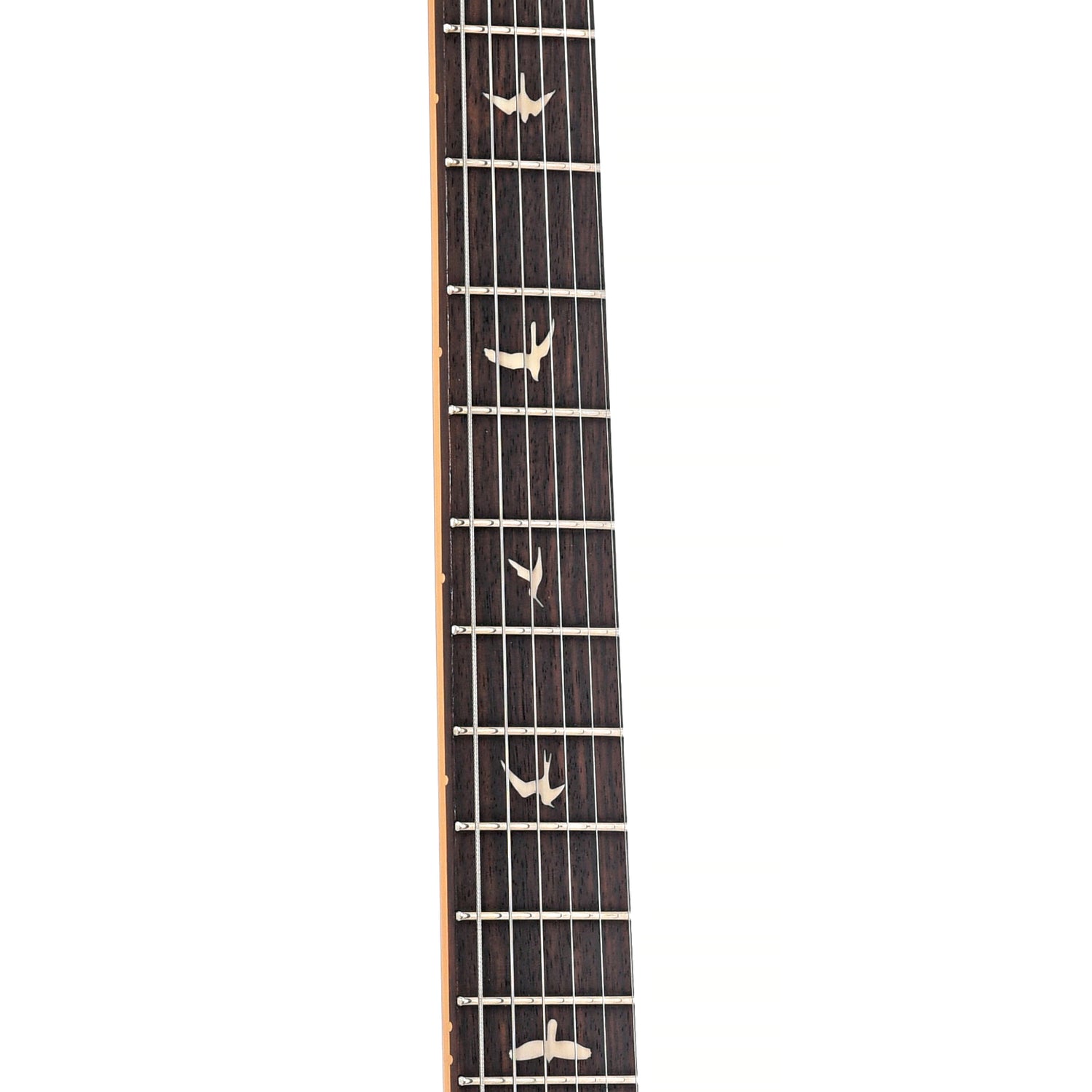 Fretboard of PRS SE Silver Sky Electric Guitar, Dragon Fruit