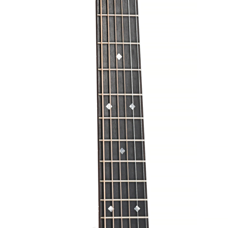 Fretboard of Goodall BRP-14 Acoustic